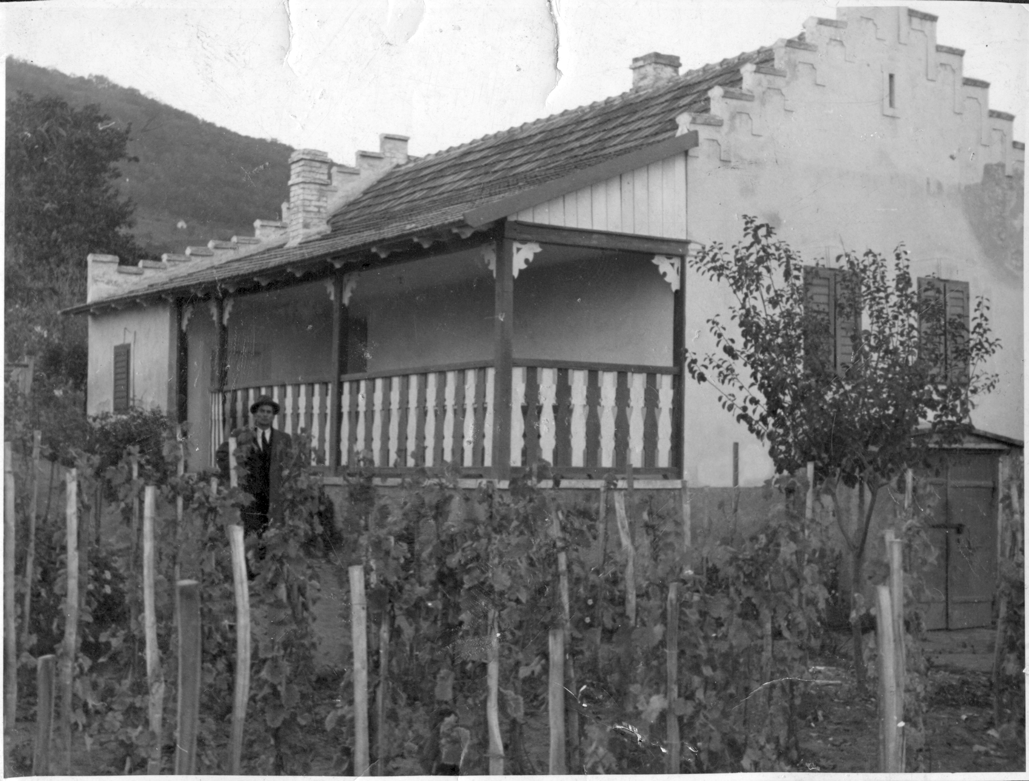 ca0538ede296a803d5d22dc7fa318ab5